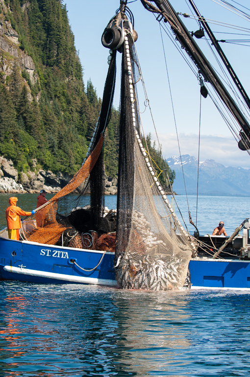 Alaska Fishermen Expediting Services